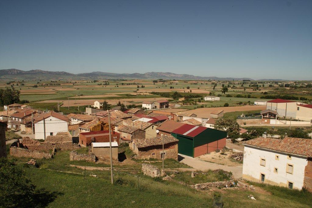 Fotografía de la galería de imágenes con id: 831